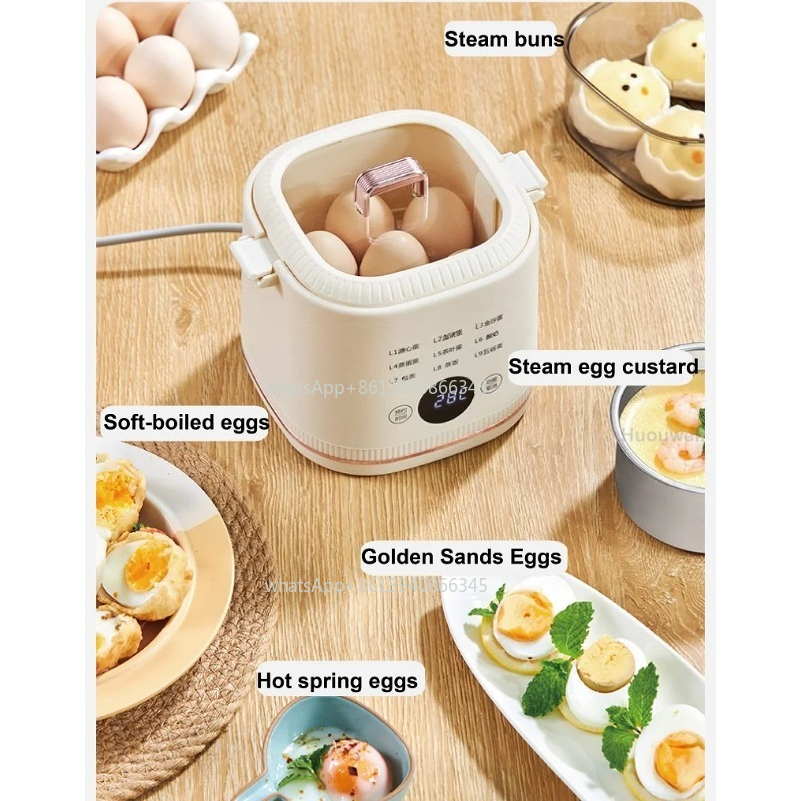300W Egg Cooker Low Power Dorm - Power Xt Tools recension och pris